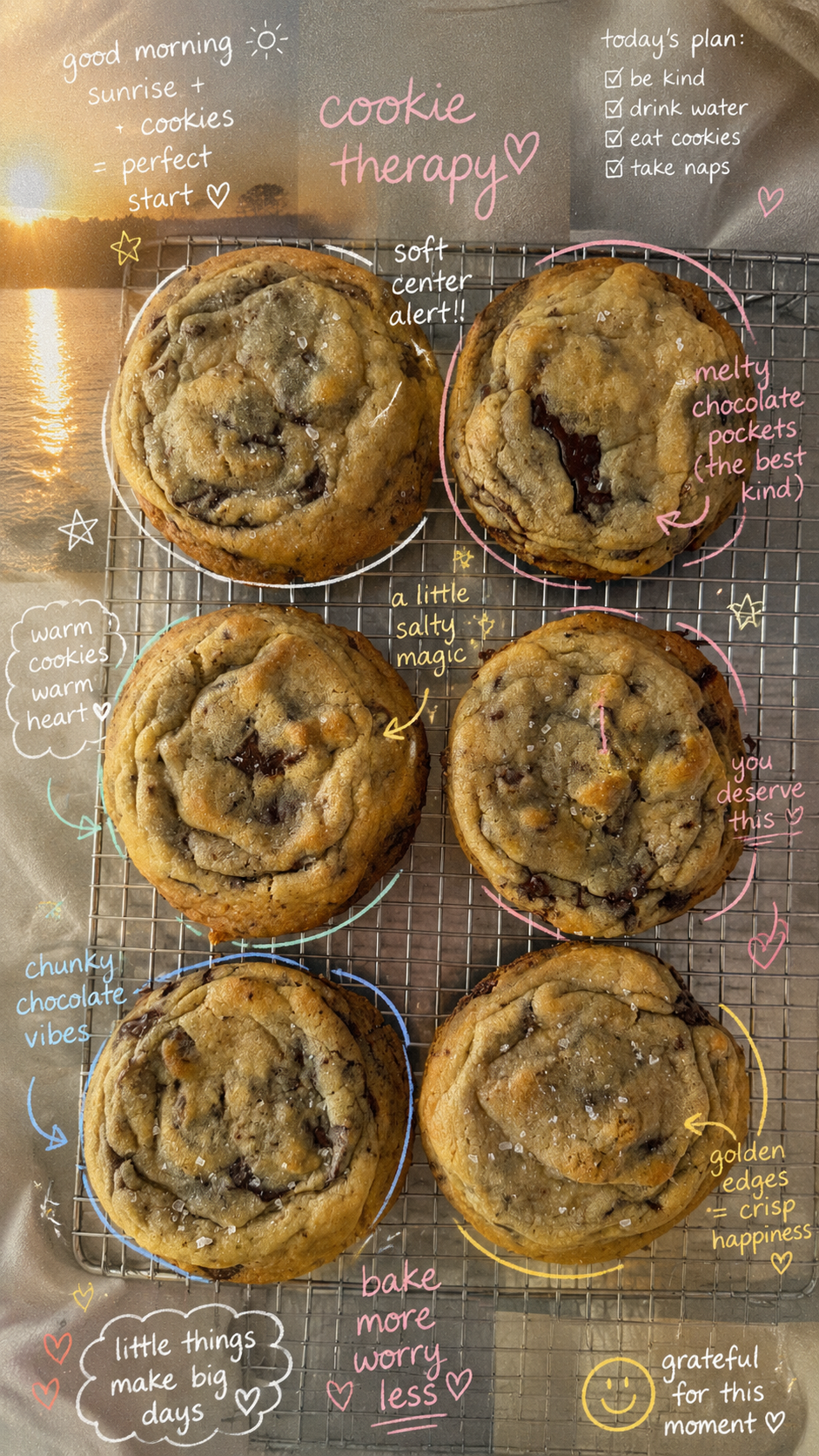 Classic Chocolate Chip Cookie